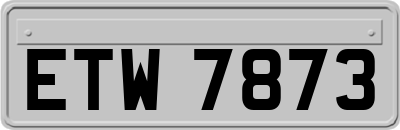 ETW7873