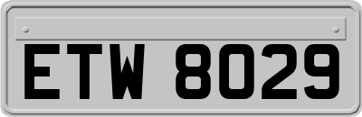 ETW8029