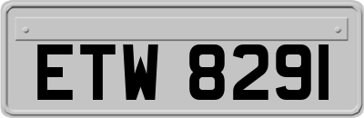 ETW8291