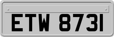 ETW8731