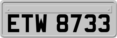 ETW8733