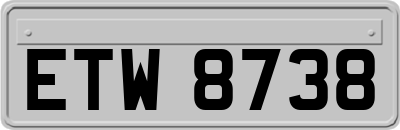 ETW8738
