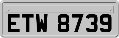 ETW8739