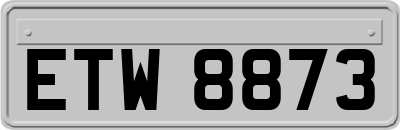ETW8873