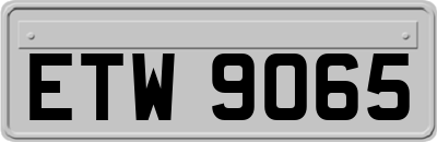 ETW9065