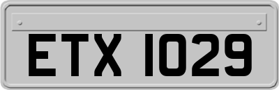 ETX1029