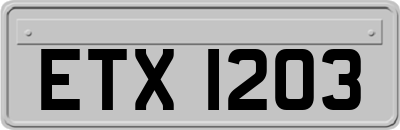 ETX1203