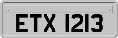 ETX1213