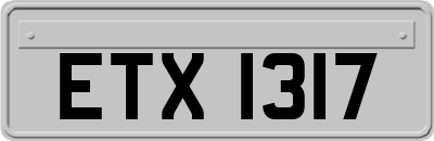 ETX1317