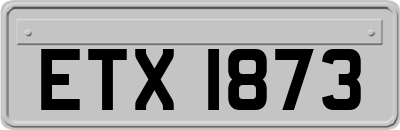 ETX1873
