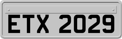 ETX2029