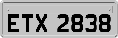 ETX2838