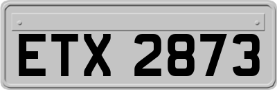 ETX2873