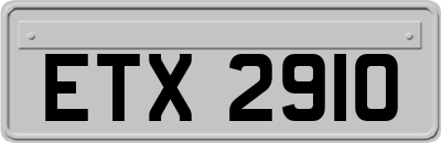 ETX2910