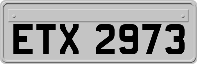 ETX2973