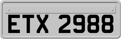 ETX2988