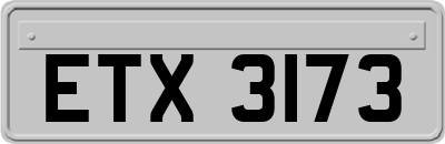 ETX3173