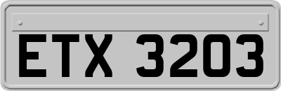 ETX3203