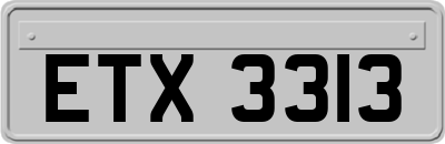 ETX3313