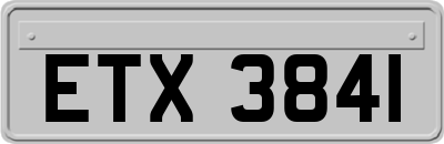 ETX3841
