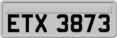 ETX3873