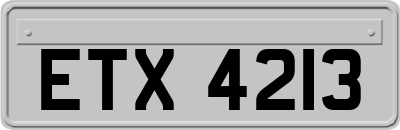 ETX4213
