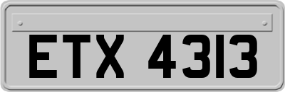 ETX4313