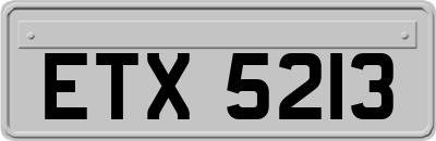ETX5213