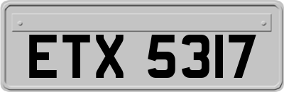 ETX5317