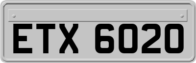 ETX6020