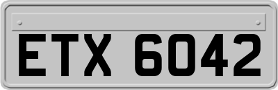 ETX6042