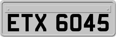 ETX6045