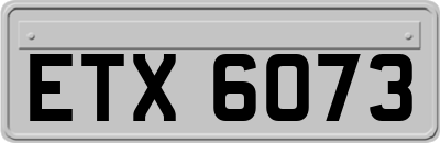 ETX6073