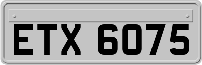 ETX6075