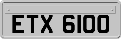 ETX6100