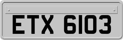 ETX6103