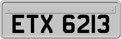 ETX6213