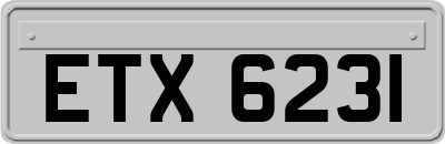 ETX6231