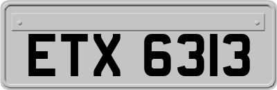 ETX6313