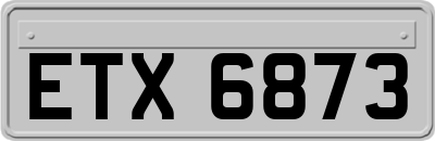 ETX6873