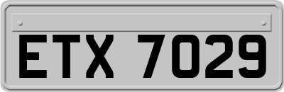 ETX7029