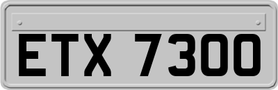 ETX7300