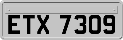 ETX7309