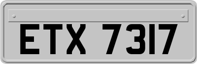 ETX7317