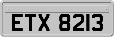 ETX8213