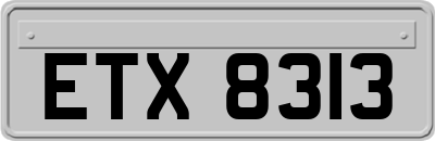 ETX8313