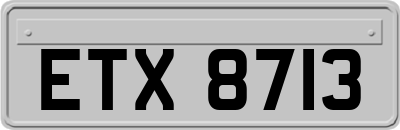 ETX8713