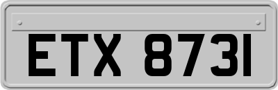 ETX8731