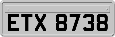 ETX8738