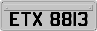 ETX8813